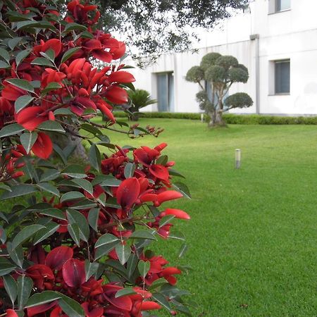 Апартаменты Fiore Dell'Etna Санта-Венерина Экстерьер фото