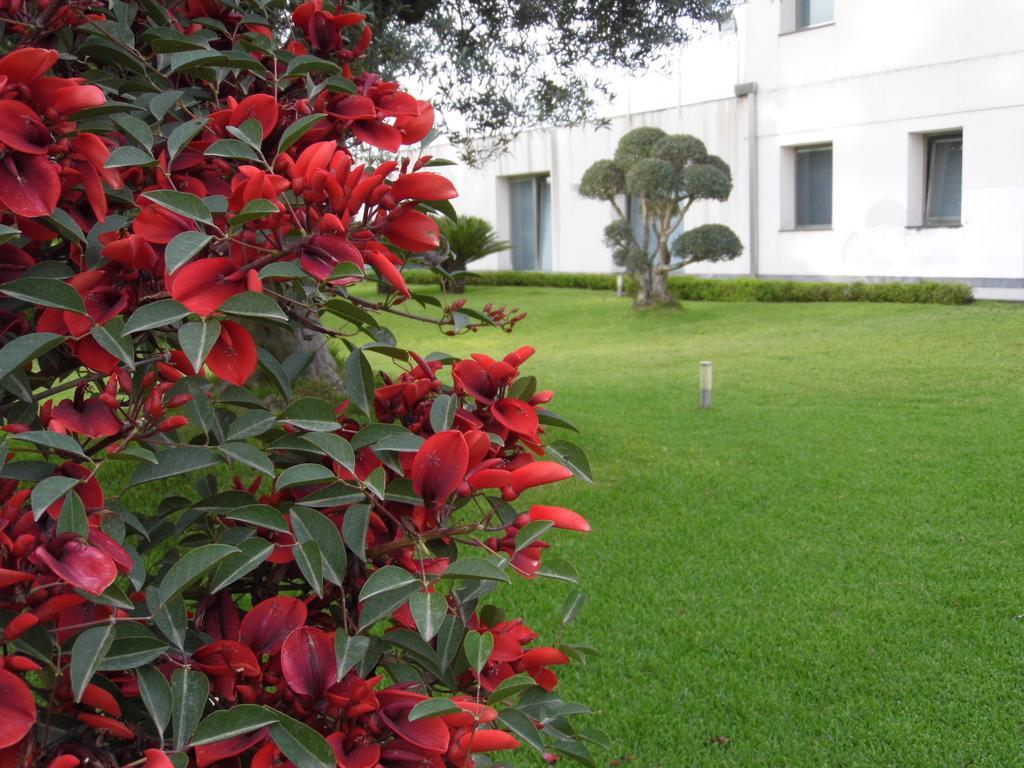 Апартаменты Fiore Dell'Etna Санта-Венерина Экстерьер фото